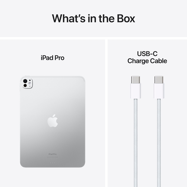 11-inch iPad Pro Wi_Fi 256GB with standard glass-Silver image 4
