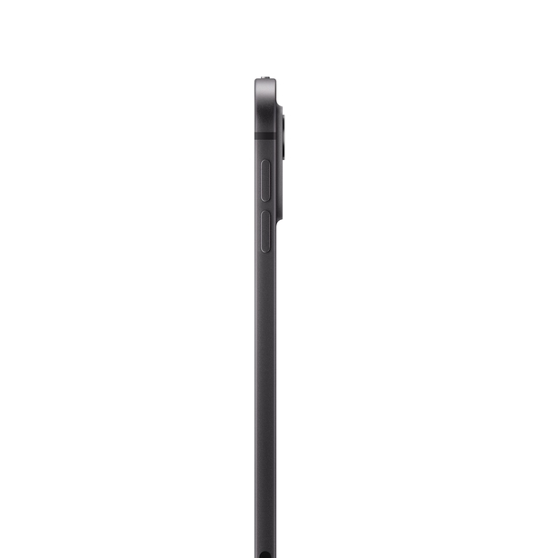 11-inch iPad Pro Wi_Fi 512GB with standard glass-Space Black image 2