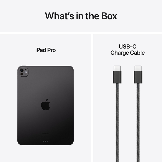 13-inch iPad Pro Wi_Fi 256GB with standard glass-Space Black image 6