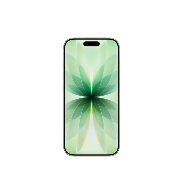 iPhone 17 256GB Sage image 2
